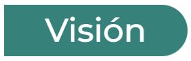 Vision